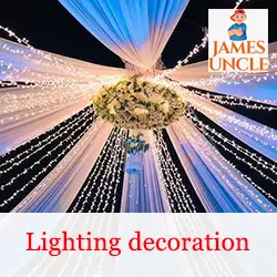 Lighting decoration Mrs. Sanchita Dey in Bonhooghly